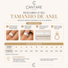 Anel Inspired Traço Folheado a ouro 18K